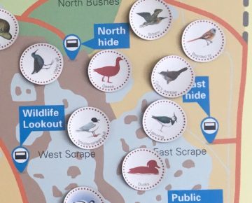 Stickers of animals on a map