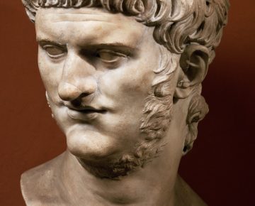 Nero Bust Transferwise