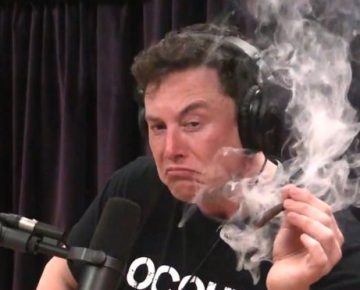 musk smoking a joint