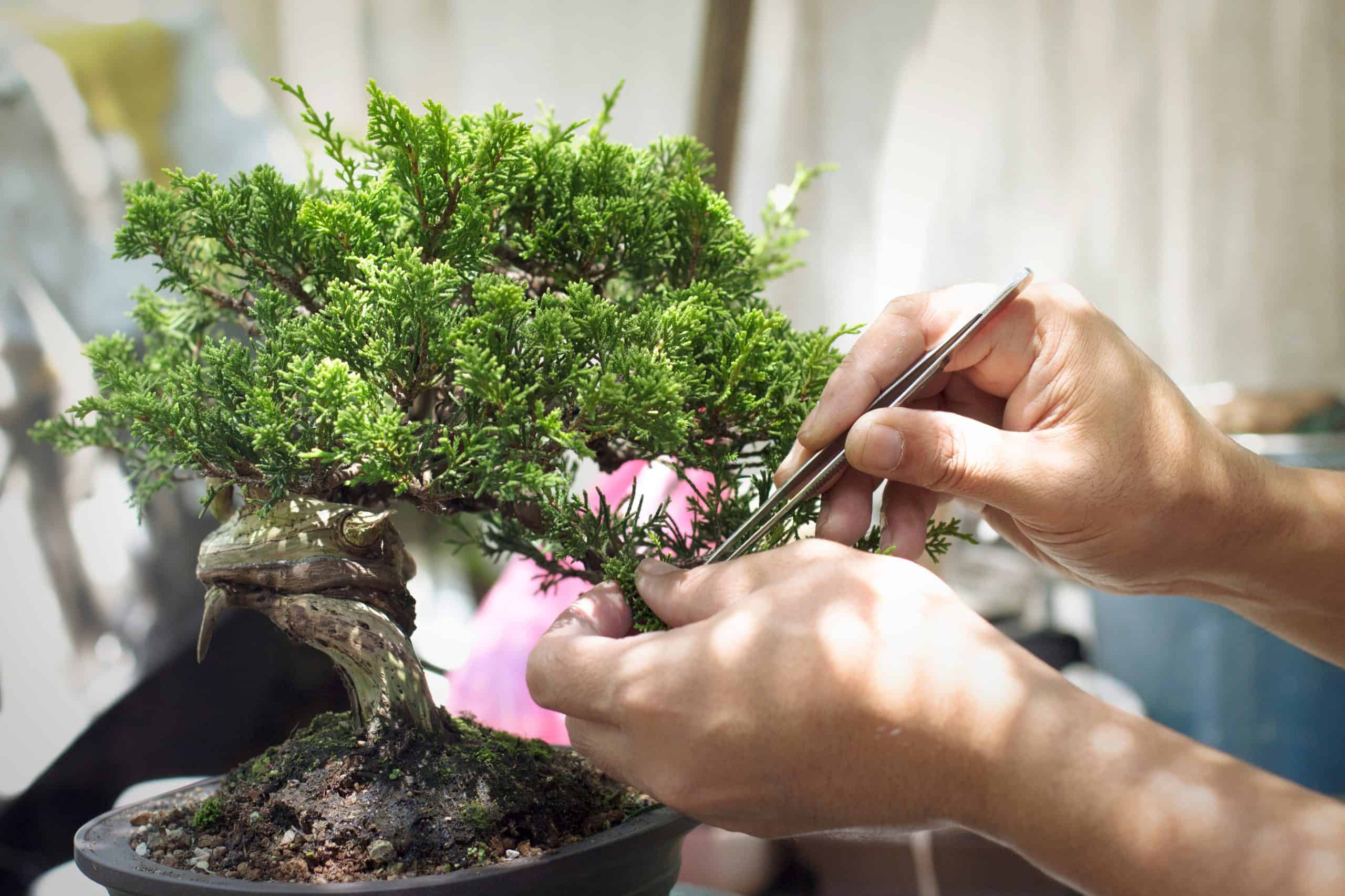 Small is beautiful: Build powerful partnerships, prioritise impact over headcount – Part three